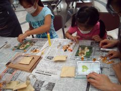 ���ǂ����`