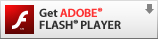 GET ADOBE FLASH PLAYERFЂ̃TCg